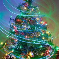 Christmas Treees