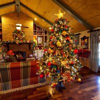 Country Themed Christmas Decorations