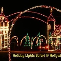 Hollywild Christmas Lights