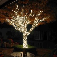 How To Light A Christmas Tree