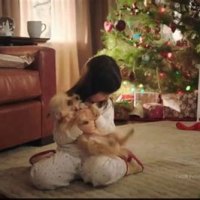 Petsmart Christmas Commercial